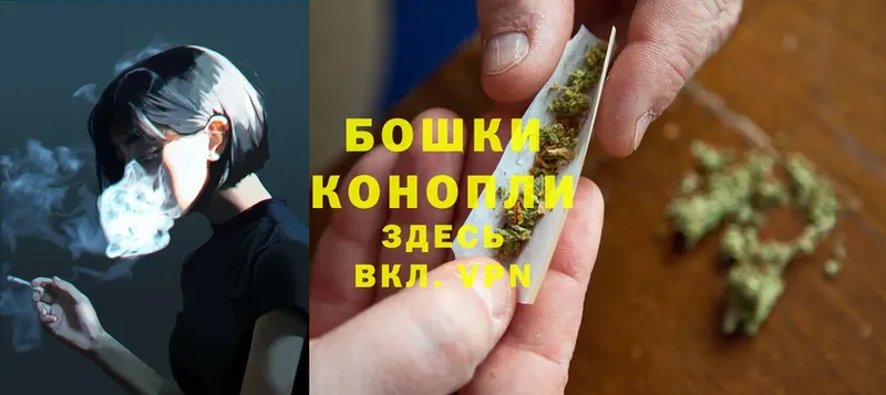 Бошки марихуана SATIVA & INDICA  наркошоп  Арск 